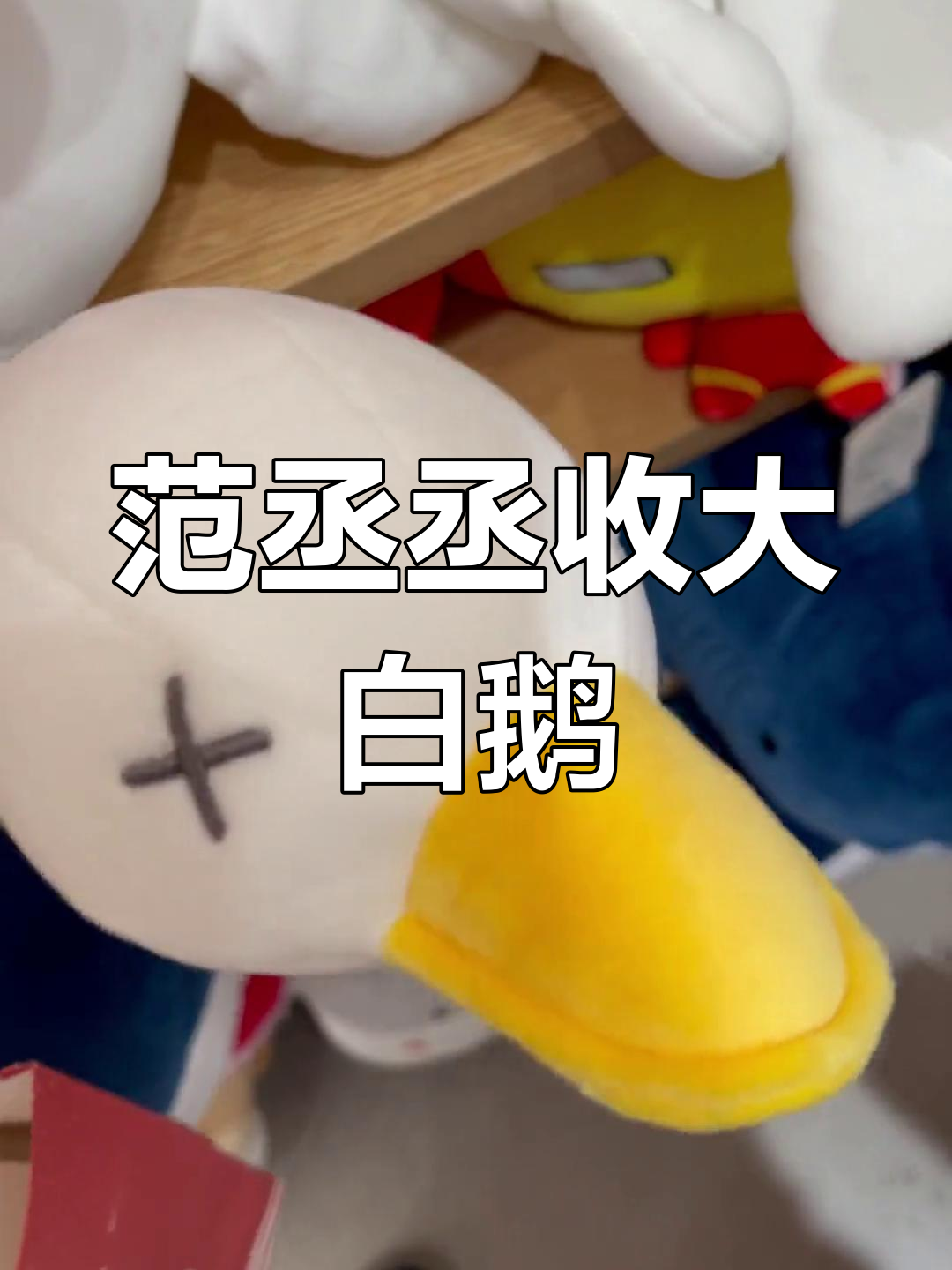 范丞丞被粉丝送大白鹅,闭眼享受惊喜时刻