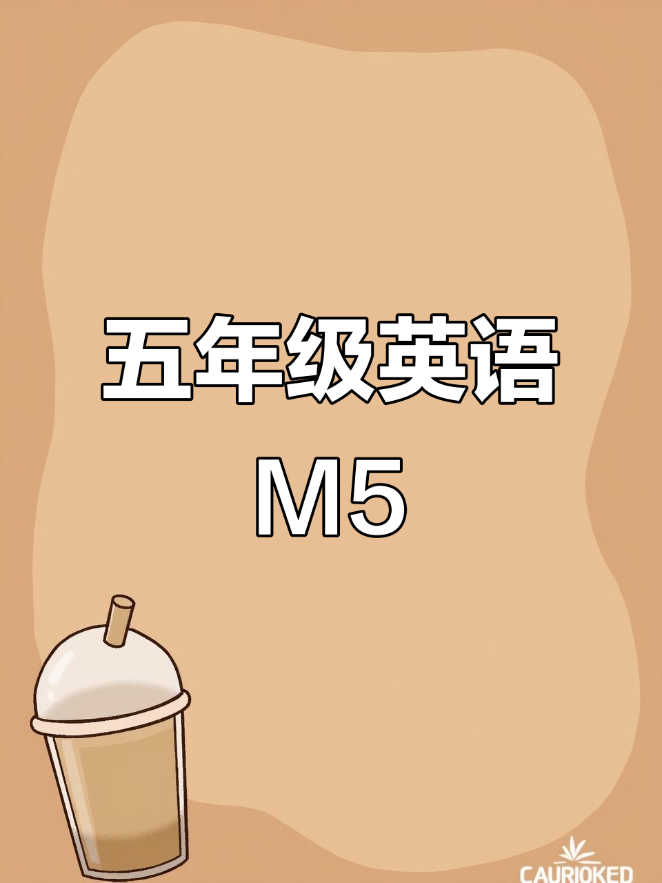 五年级英语M5:购物与背包选择,学会如何挑选合适的包