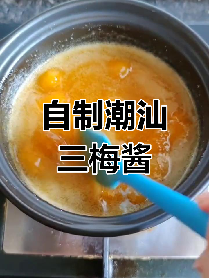 潮汕传统酸梅酱做法,烧鹅必备灵魂调料