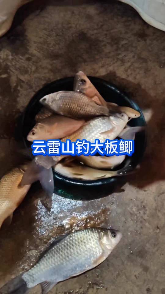半天从嗑花生到爆盆，钓鱼人的悲喜与大板鲫的惊喜