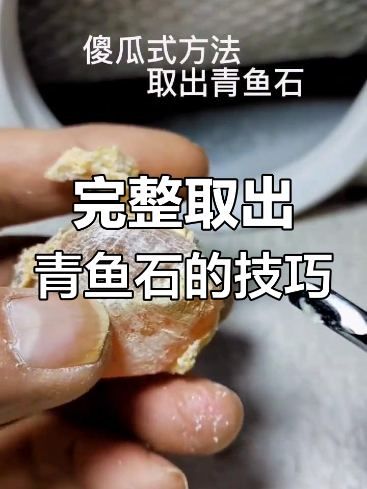 傻瓜式青鱼石取法，轻松搞定！