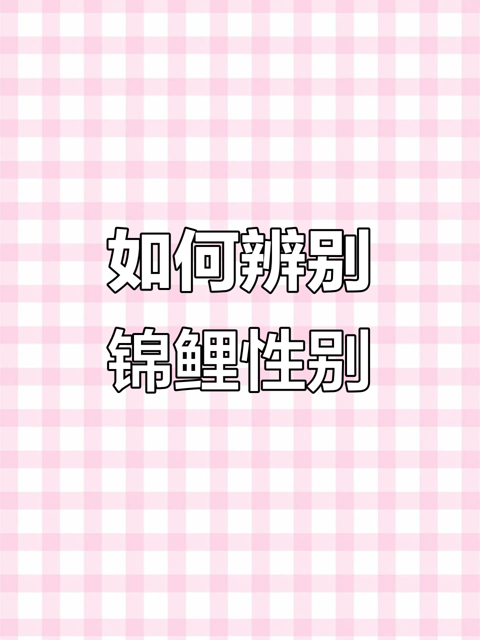 锦鲤雌雄分辨技巧,轻松掌握繁殖期与非期的差异