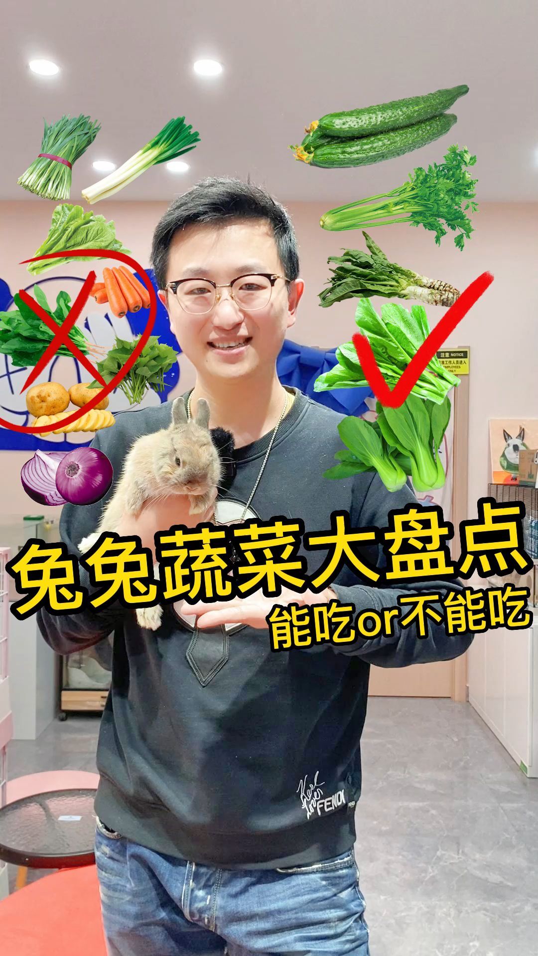 兔兔蔬菜大盘点,哪些能吃哪些不能吃要记住