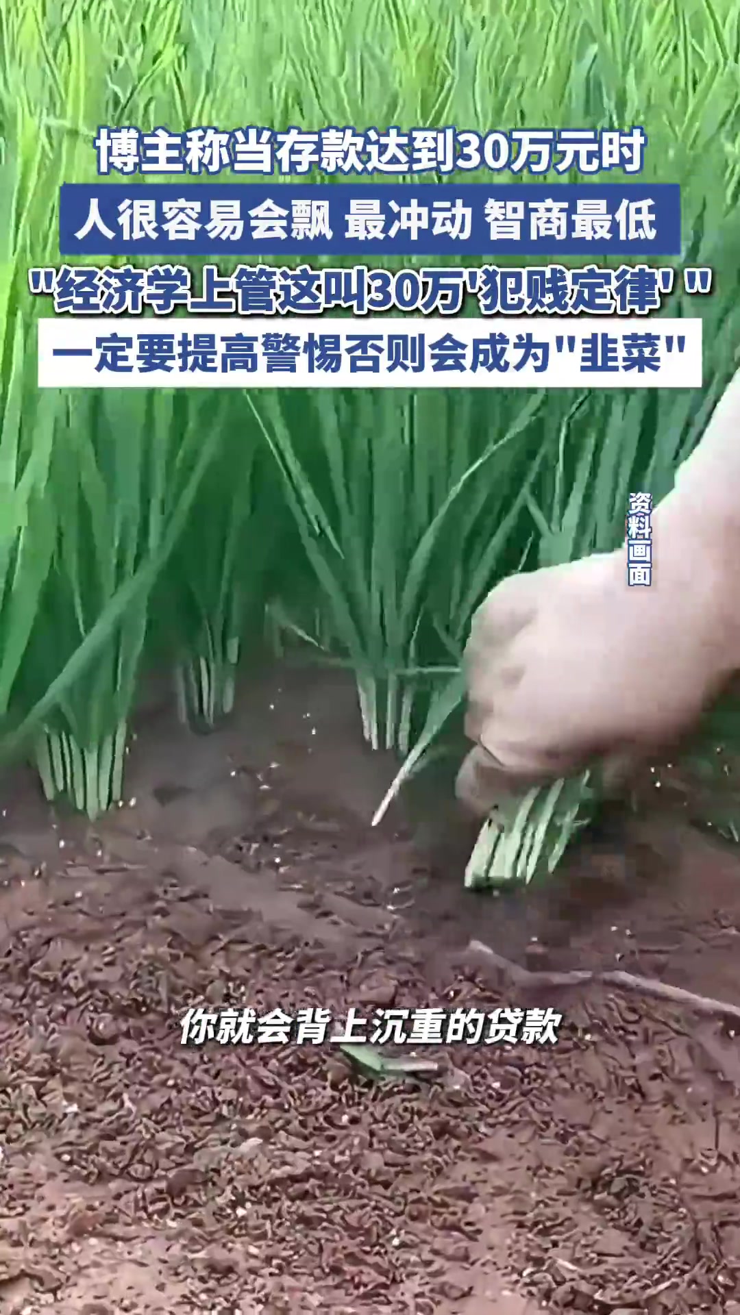 30万“犯贱定律”?博主称当存款达到30万元时人很容易飘,最冲动智商最低