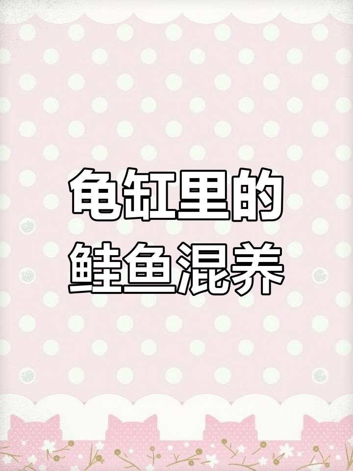 龟缸里养鱼的好处与风险,如何选择适合的鱼类
