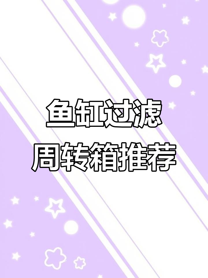 鱼缸过滤周转箱全解析：如何选择最适合的滤材摆放方式