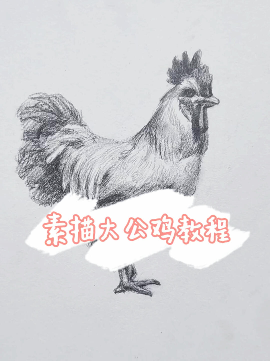 教你画一只超逼真的大公鸡