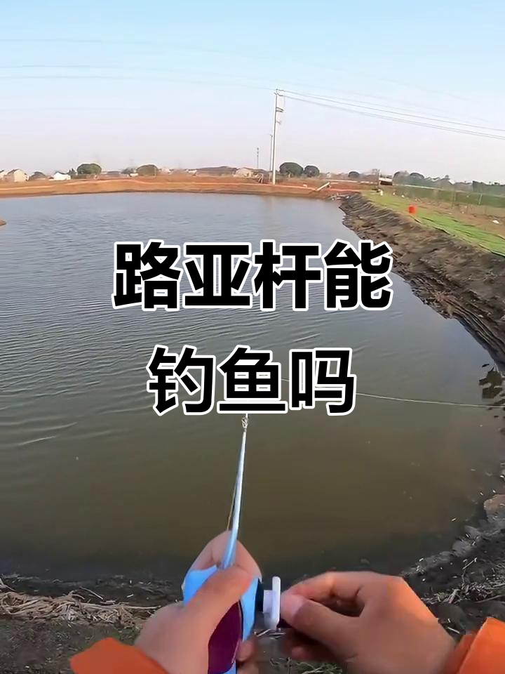 儿童路亚竿能否钓到鱼?实测结果大揭秘