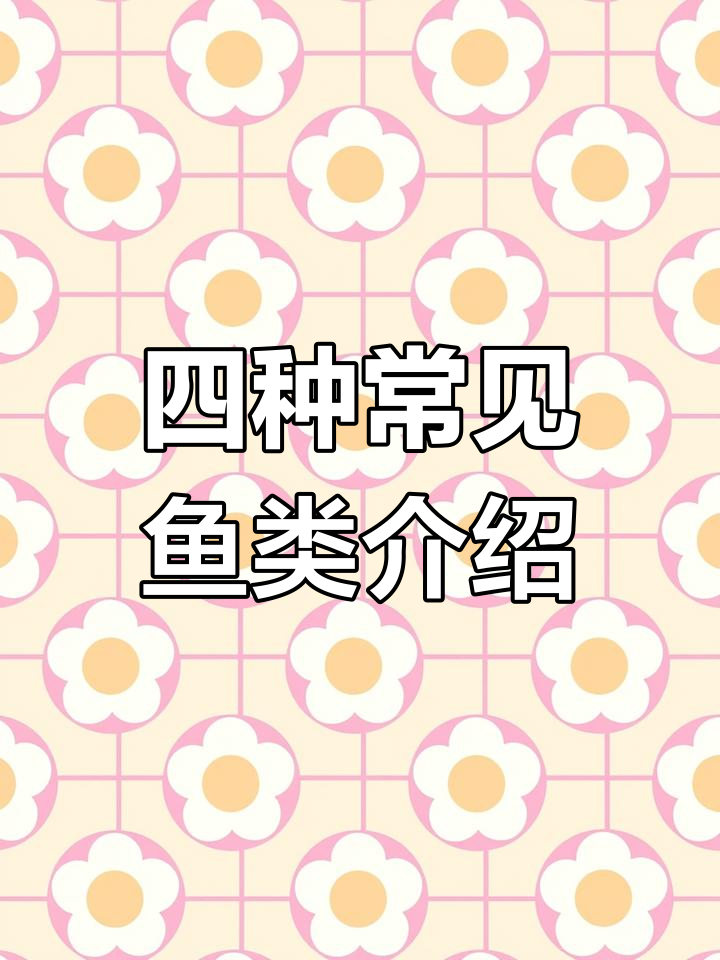 国内常见四种鱼种类解析