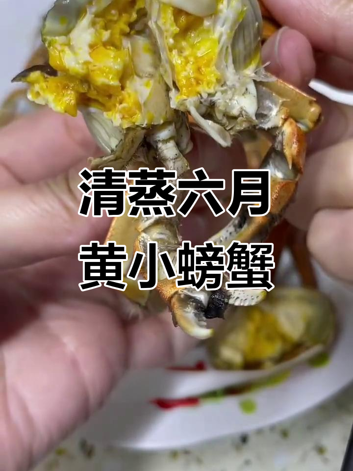 六月黄小螃蟹,鲜嫩流油,清蒸美味不容错过
