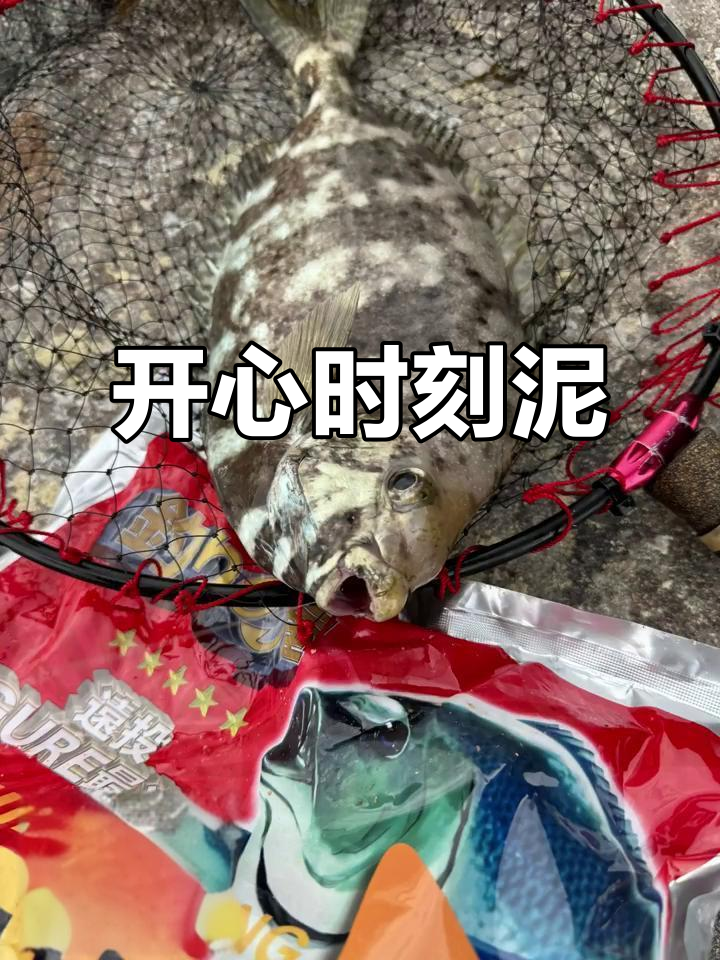 这种鱼名字有趣,肉质独特,但刺多需小心