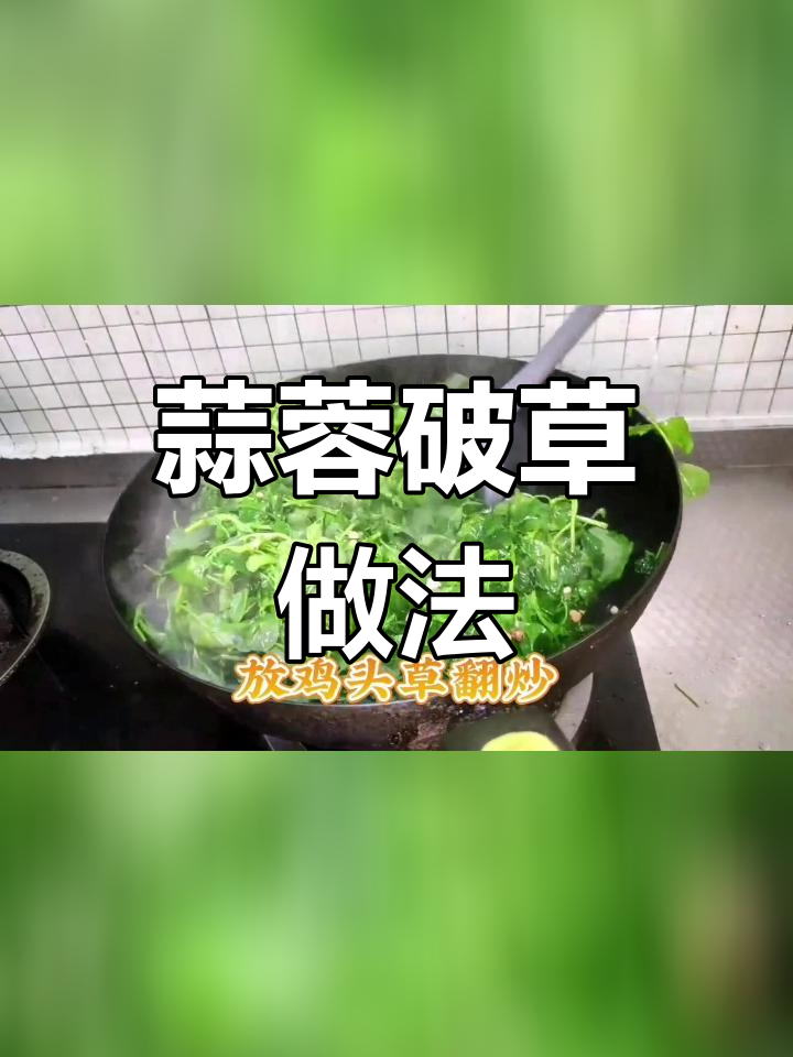 春季野菜新选择:翡翠鸡头草