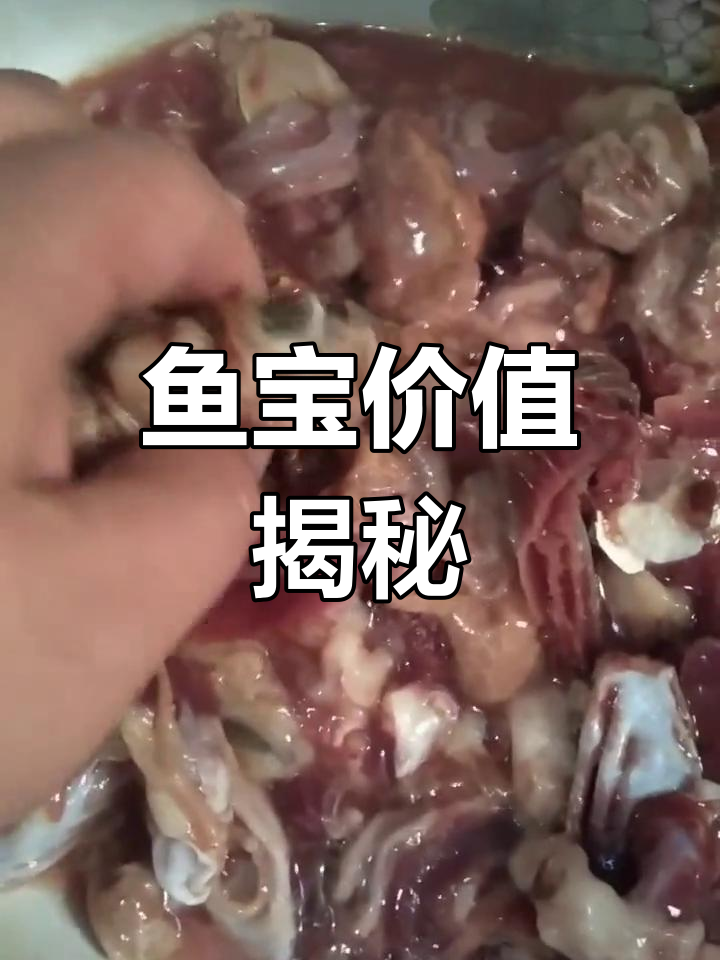 鱼宝到底值多少钱?