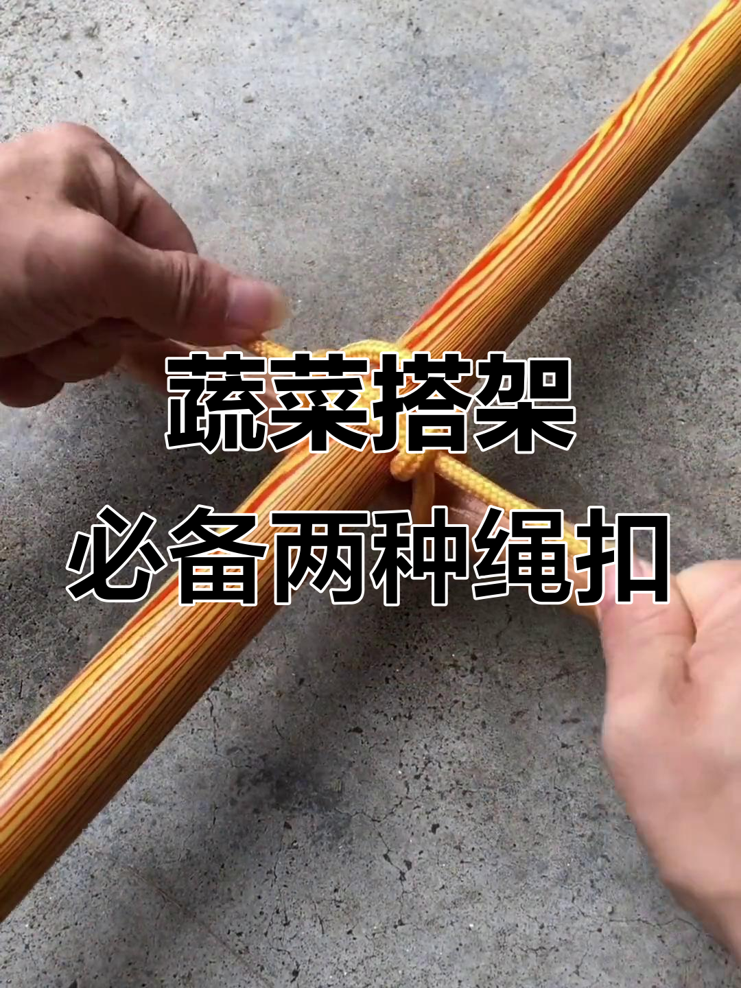 夏季蔬菜搭架技巧,学会这两种绳扣轻松搞定