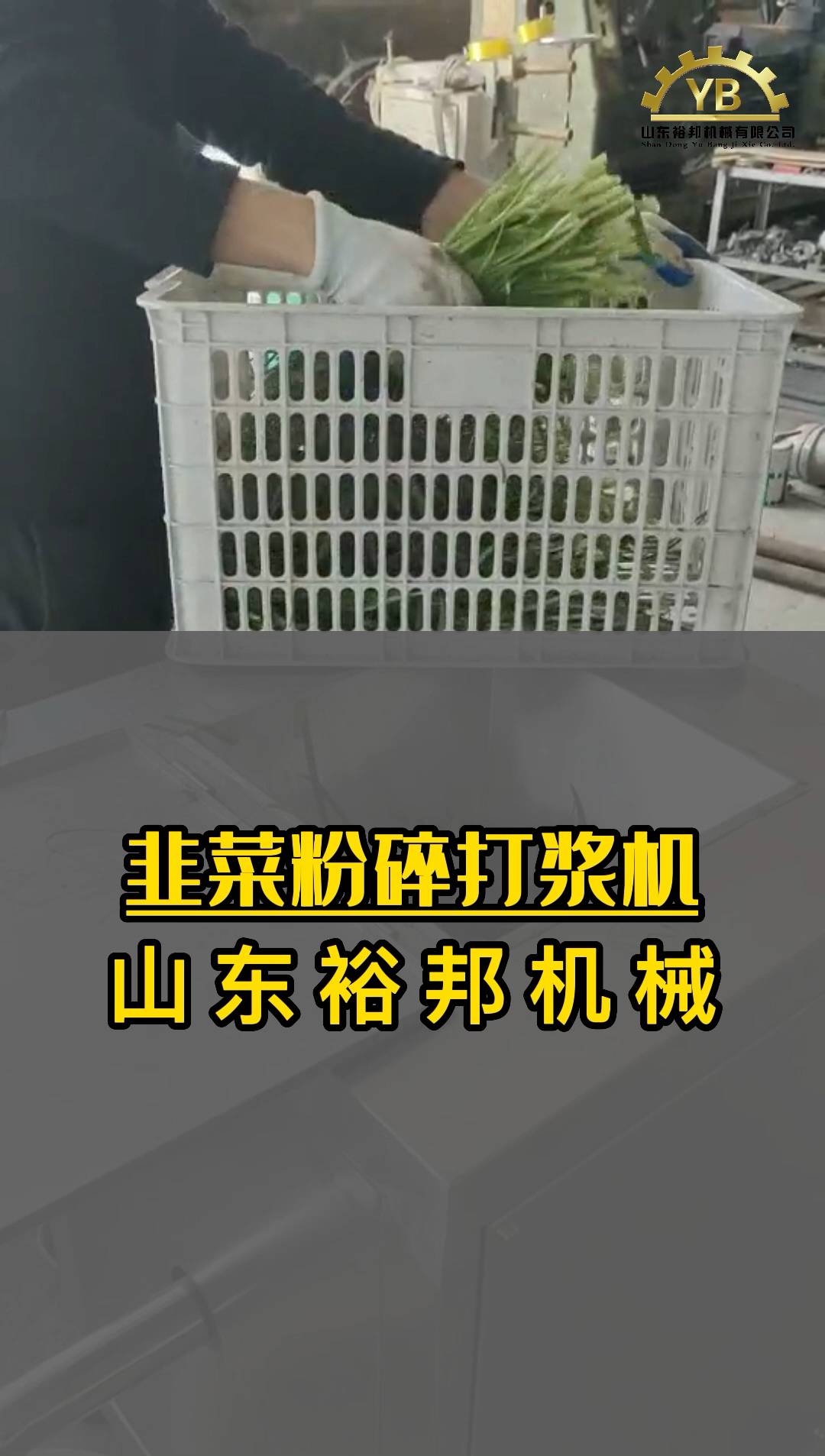 蔬菜粉碎打泥机 韭花葱姜蒜打浆机