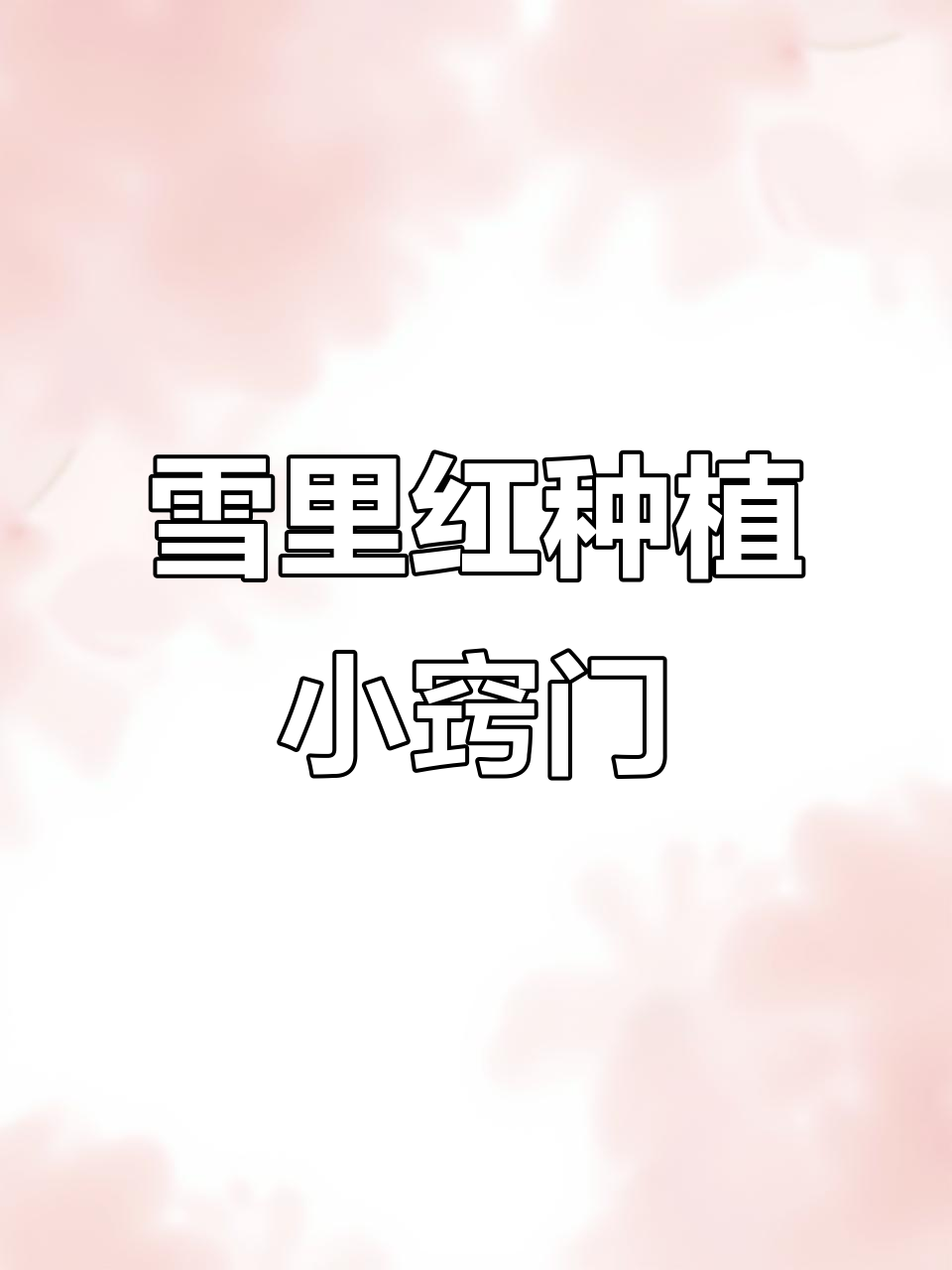 雪里红咸菜种植技巧,教你如何做美味腌菜