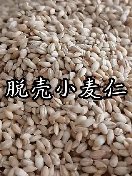 河南脱皮小麦仁粥你们喝过吗