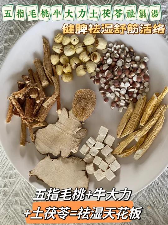 夏日不可错过五指毛桃土茯苓牛大力汤