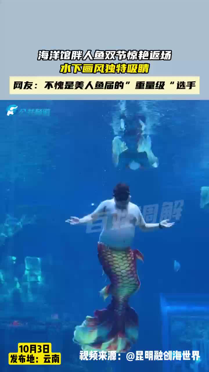 海洋馆胖人鱼双节惊艳返场,水下画风独特吸睛