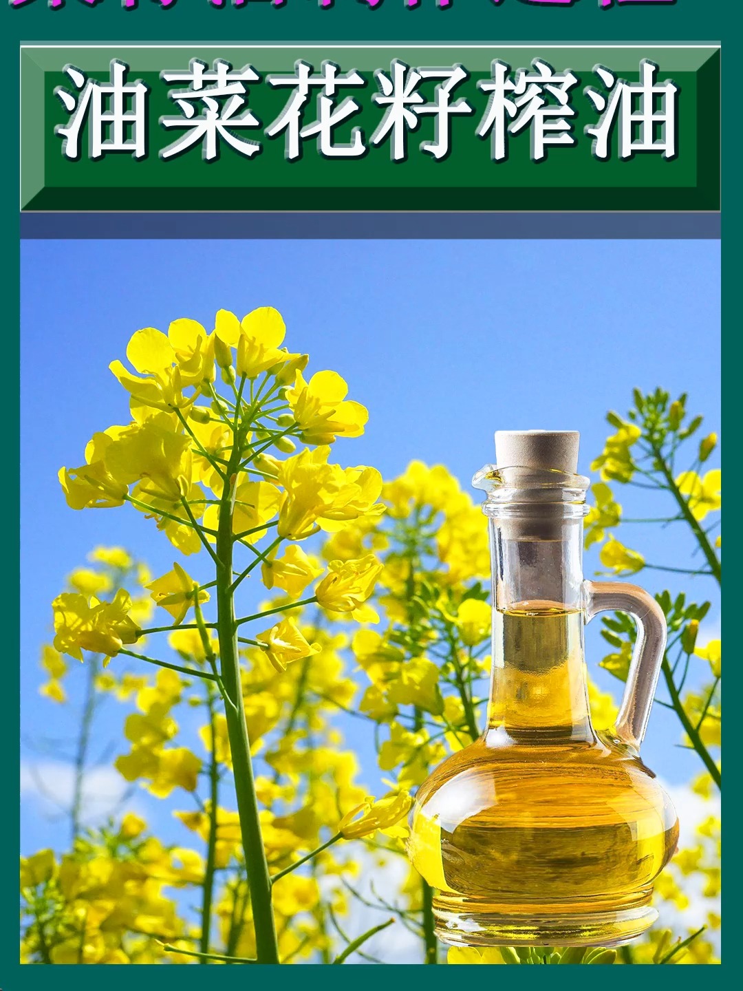 菜籽油是怎么制作的?先把油菜花籽碾碎