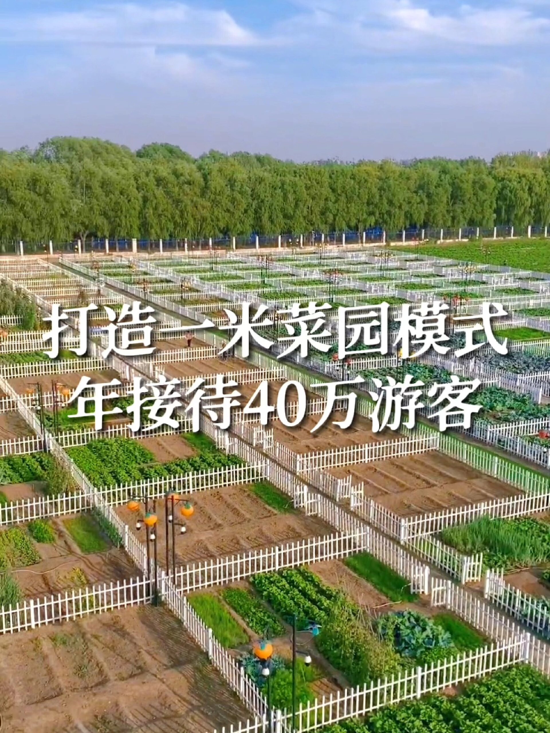 一米菜园模式,你的农场有吗?