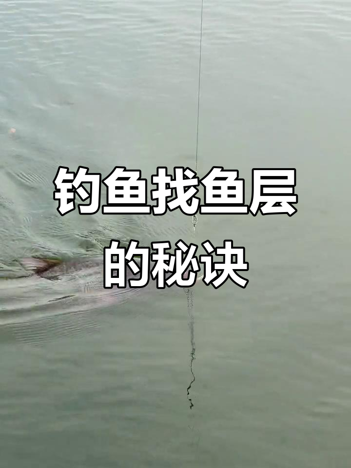 水库钓鲢鳙如何精准找鱼层？技巧大公开