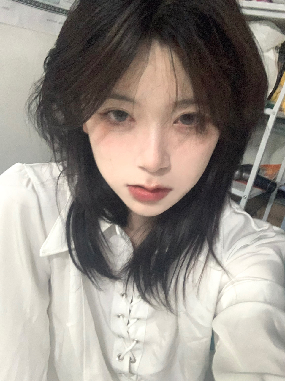 长版鲻鱼头的日常打理教程