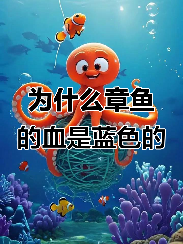 章鱼血液为何是蓝色?揭秘血蓝蛋白的奥秘