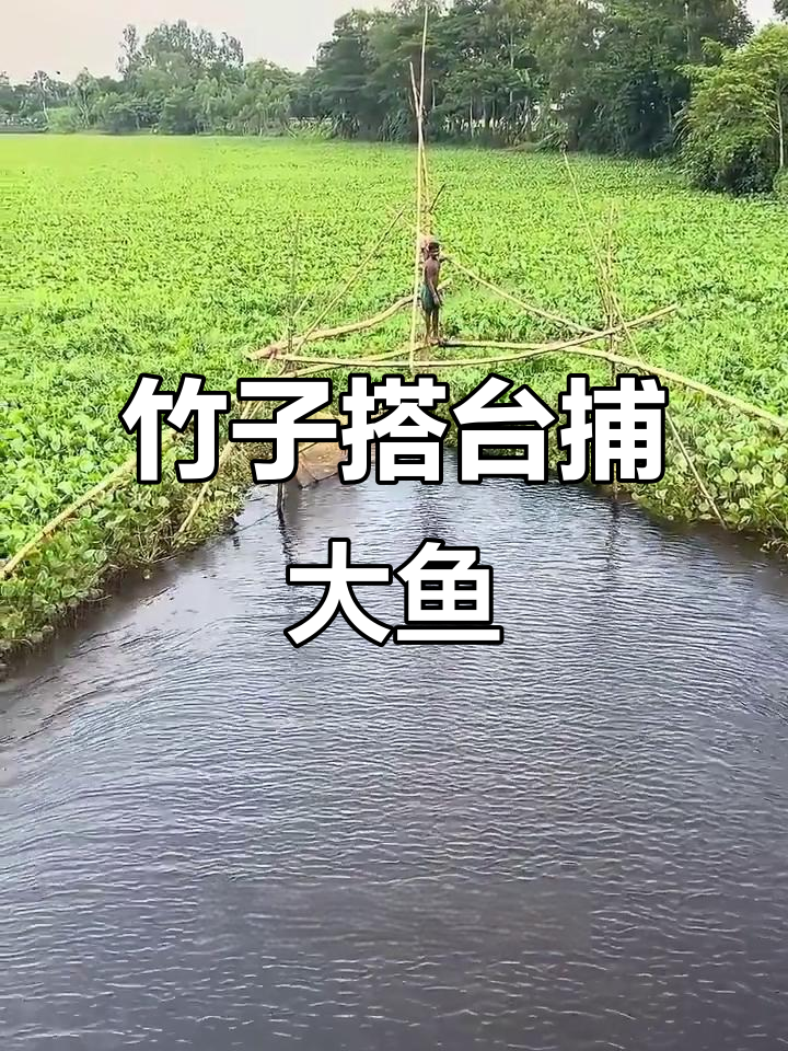渔民巧妙搭建三角架捕鱼,杠杆原理轻松拖网