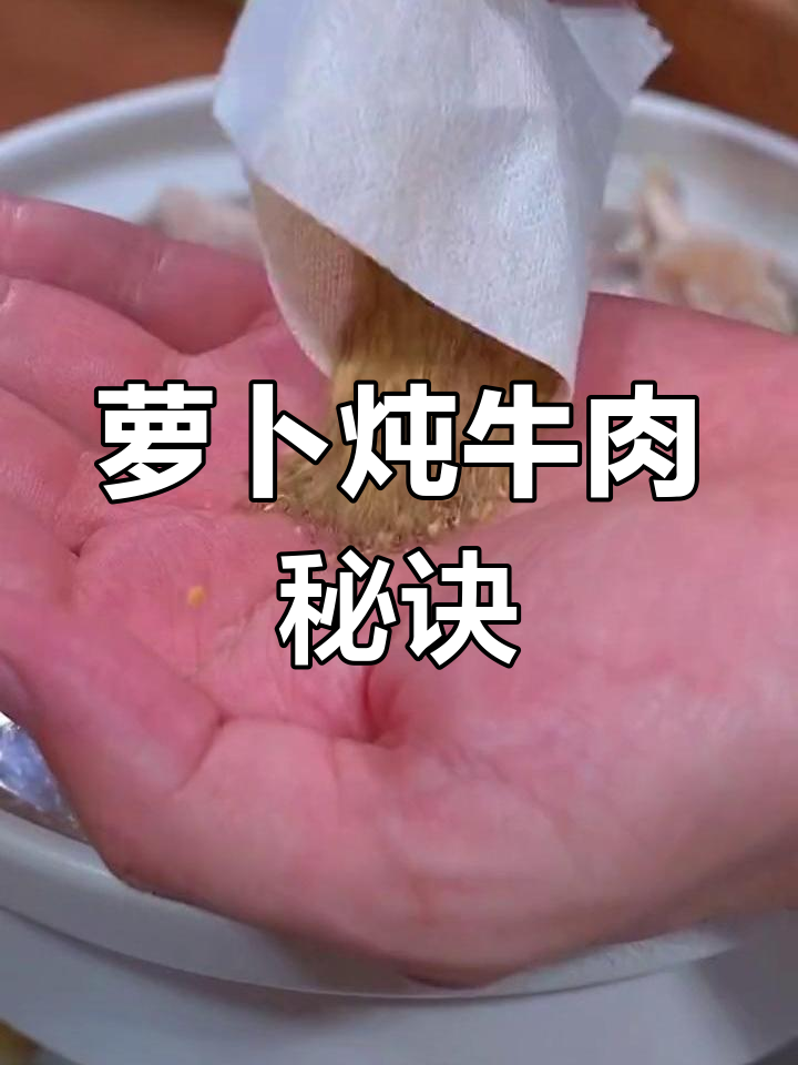 萝卜炖牛肉,简单又美味,三碗都不够!
