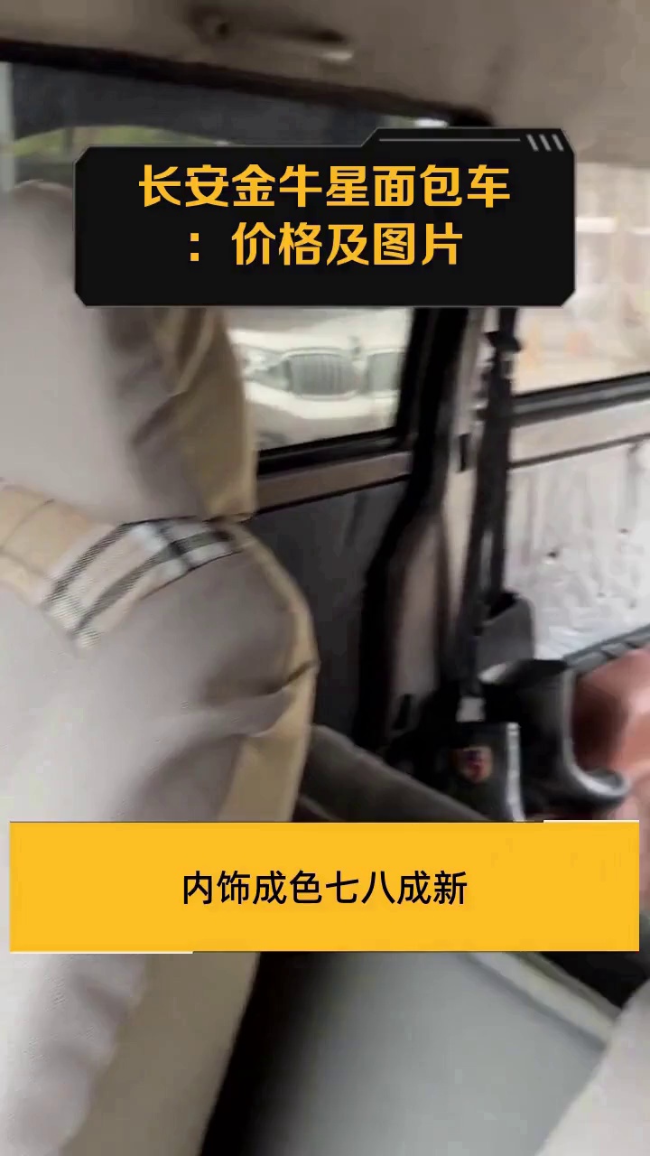 长安金牛星面包车:价格及图片