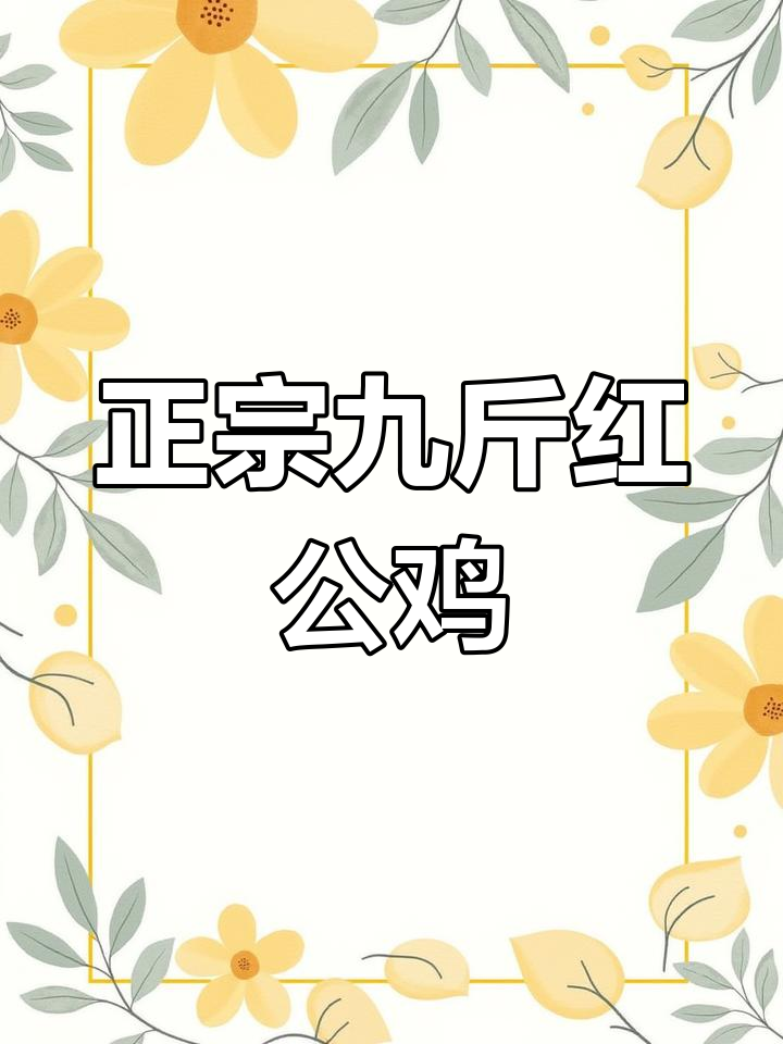九斤红公鸡,真漂亮!今天刚买的小可爱