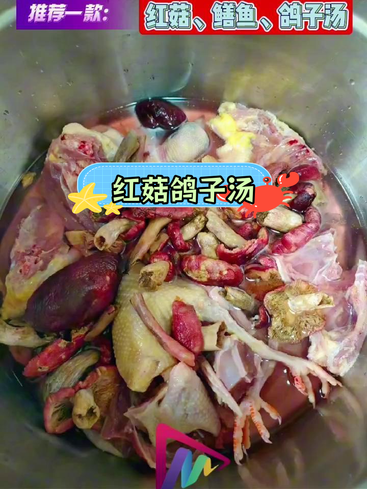 云南滋补鸽子汤,搭配红菇与鳝鱼