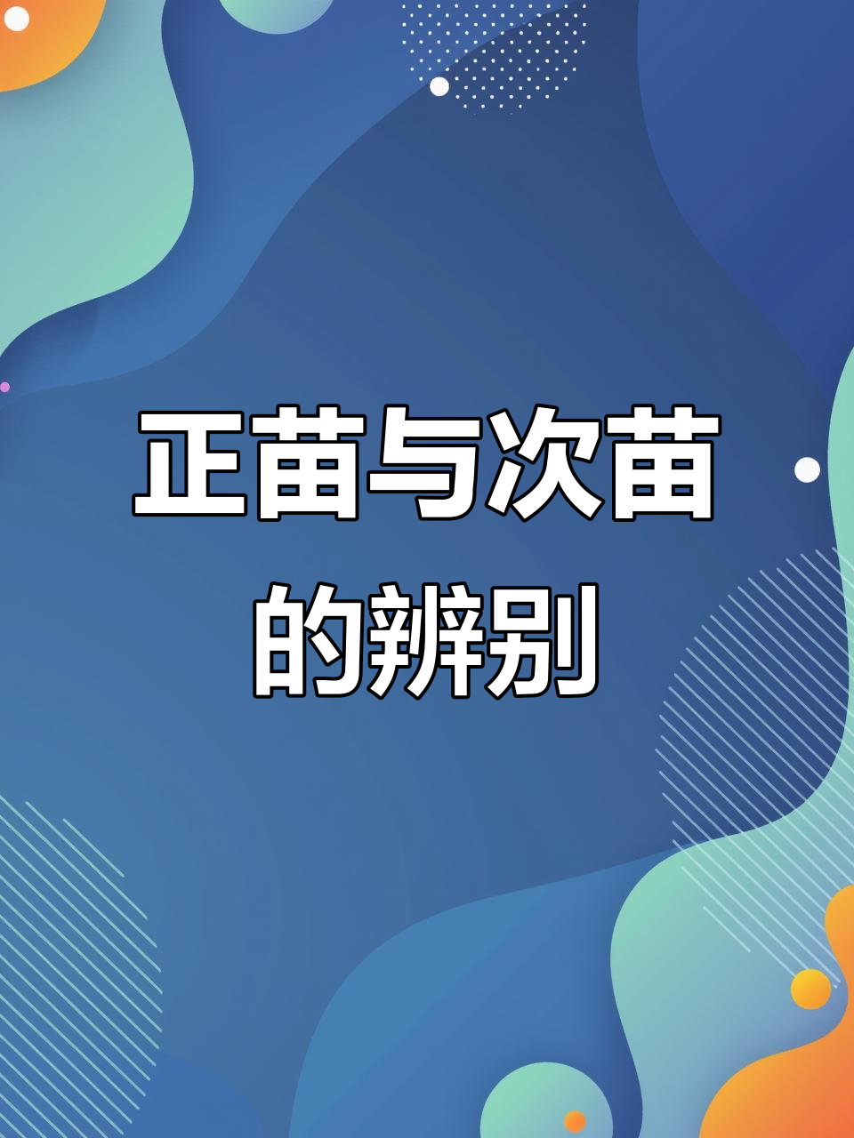 鸭苗选对,成活率翻倍!如何挑选健康正苗