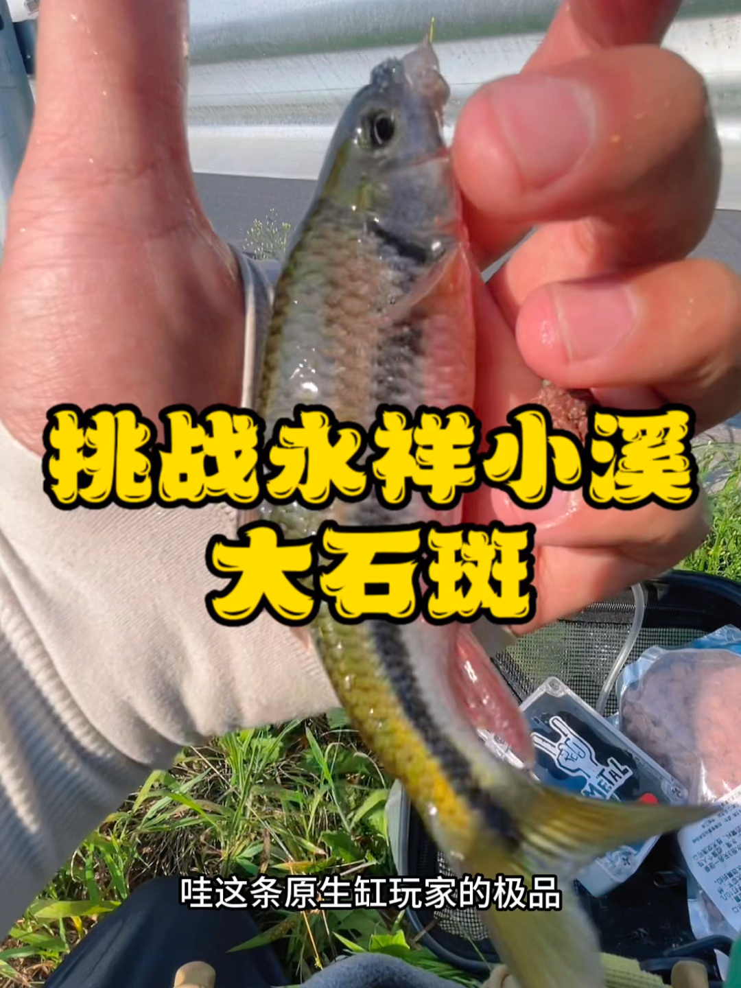 垂钓溪石斑饵料分享