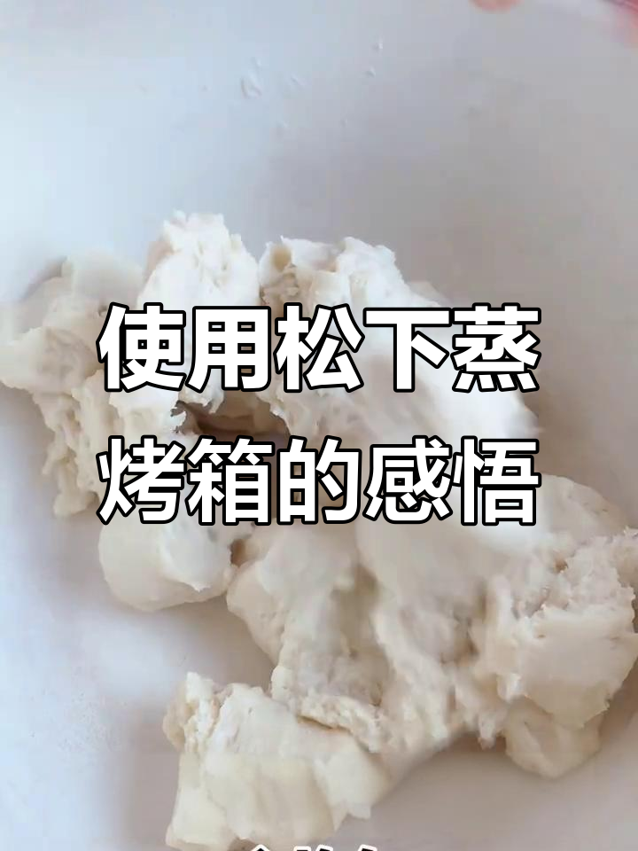 松下蒸烤箱使用心得,打卡第43天