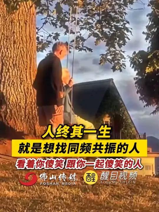 人终其一生就是想找同频共振的人,看着你傻笑 跟你一起傻笑的人(出镜:白靖;编辑:黄燕飞;责