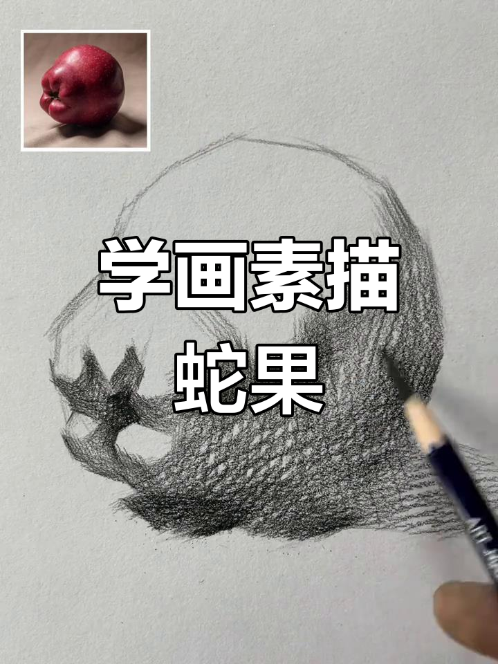 素描蛇果绘制技巧,从明暗交界到细节刻画全解析