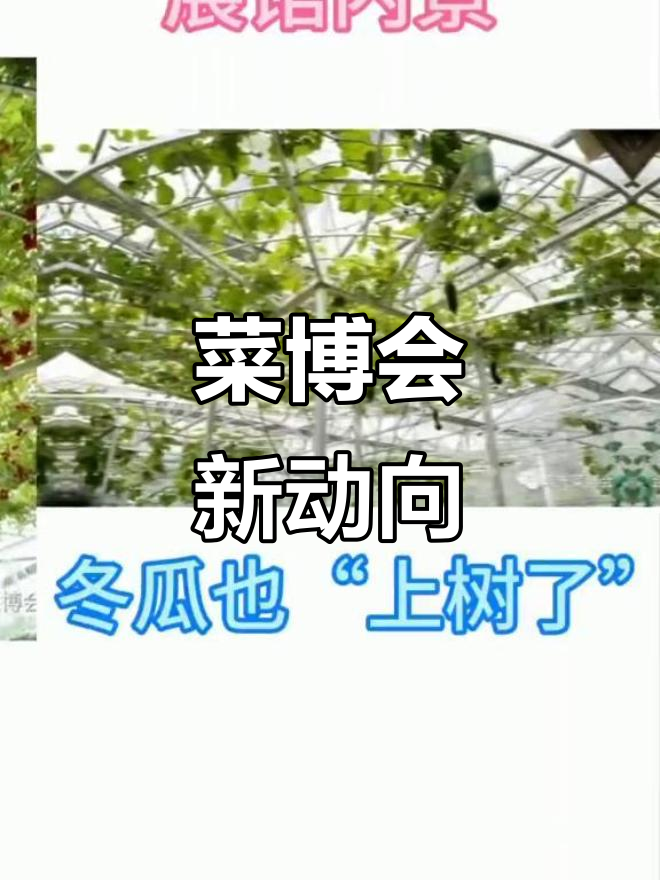 寿光菜博会20年4月20日,今年怎么办?权威解答!