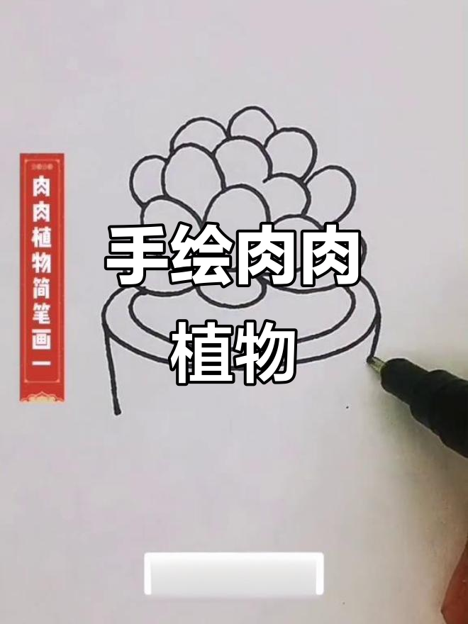 肉肉植物轻松画,宝贝喜欢动手,记得点个小心心支持哦!