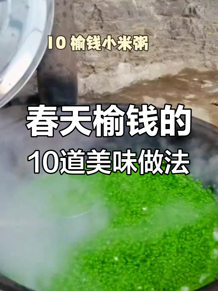 榆钱十种吃法,学会这些做法让你爱上春天的味道