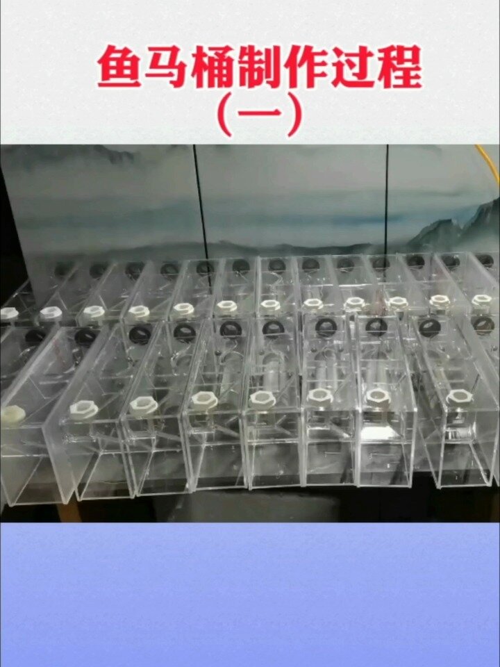 鱼马桶制作过程一