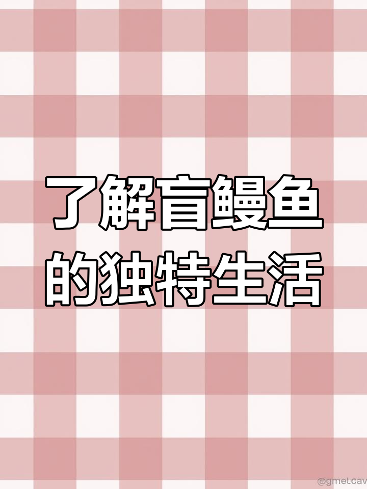 盲鳗鱼:深海中的“吸盘怪”与远古脊椎动物