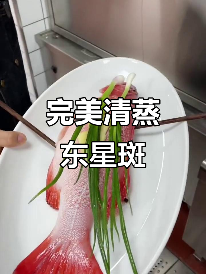 清蒸东星斑，掌握火候秘诀，鱼肉鲜嫩无比