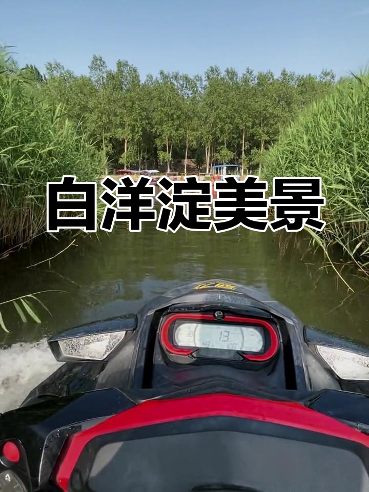 装备齐全,白洋淀芦苇荡美得令人陶醉!