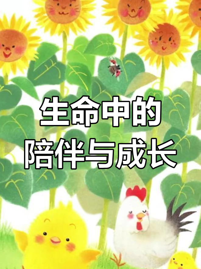 小鸡球球的向日葵朋友,陪伴与等待的力量