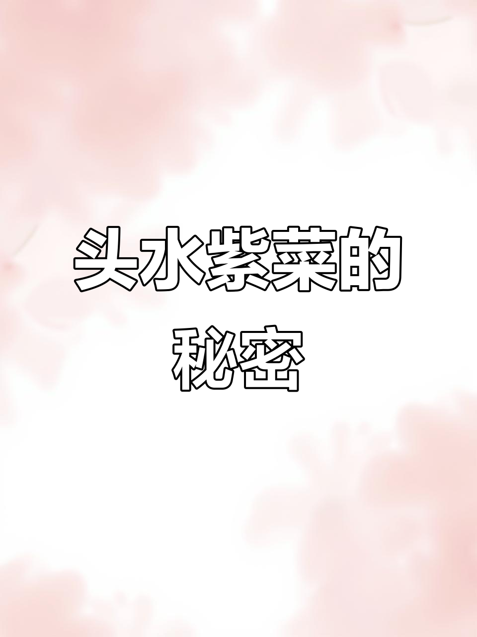 紫菜的头水与墨水的区别,营养价值大揭秘