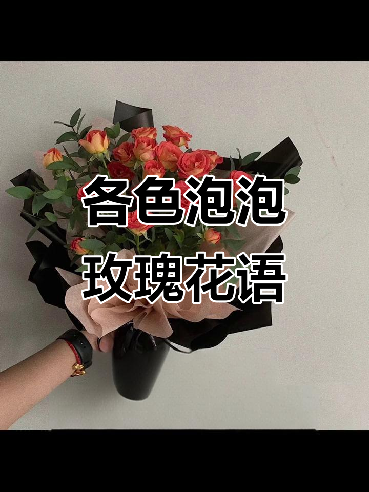 不同颜色泡泡玫瑰的花语与爱情故事