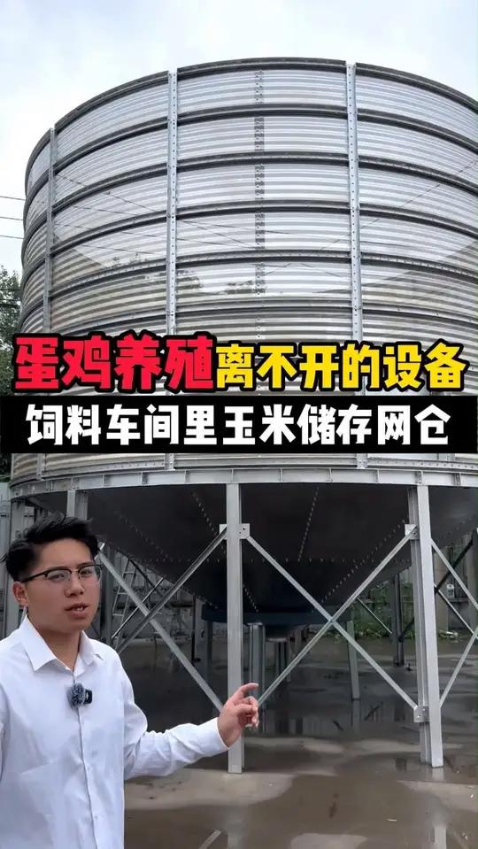 蛋鸡养殖离不开的设备 饲料车间里玉米储存网仓