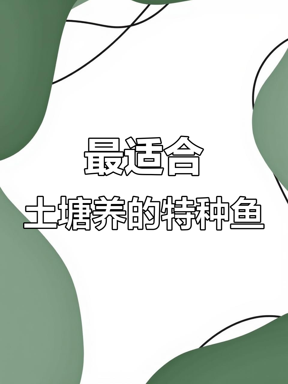 土塘养殖特种鱼推荐,高收益品种大揭秘